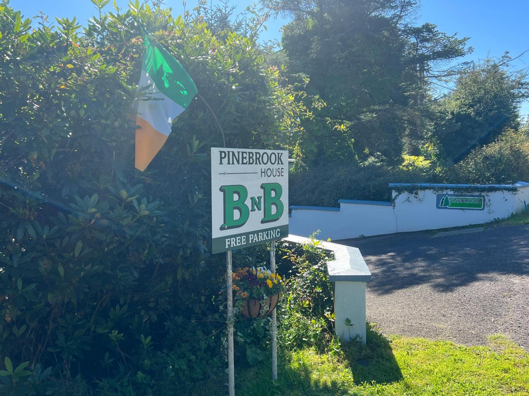 Pinebrook Bnb - 1F Budget Apartment With Shared Bath - 2 Room Types 킬리벡스 외부 사진